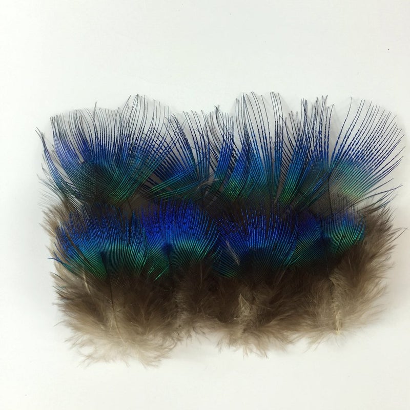 Sowder 50pcs Blue Peacock Plumage Feathers 1-3 Inches Home Wedding Decoration - Image 2